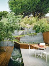 A maple tree grows through an ipe deck in the garden that Mary Barensfeld designed for a family in Berkeley, California. A reflecting pool separates it from a white-granite patio, which is furnished with a Petal dining table by Richard Schultz and chairs by Mario Bellini. 