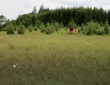 #outdoor #green #cabin #field #flower #meadow #tree #smallspace #tiny 