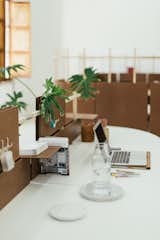 #workplace #office #interior #inside #minimalist #TheENSAMBLEProject #desk #pegboard #plant #Chile 