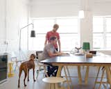 #workspace #office #interior #inside #window #seatingdesign #interiordesign #desk #lighting #flow #chairs #stools #dog #lamp #misewellstudio 

Photo by Daniel Shea