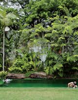 #pooldesign #modern #moderndesign #outdoor #exterior #outside #landscape #backyard #green #lush #garden #retreat #CasaDeck #IsayWeinfeld  Photos from outdoors
