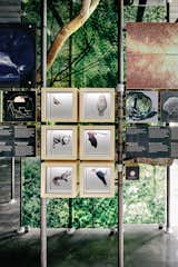 An exhibit on biodiversity offers insight into local flora and fauna.
