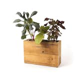 Reclaimed Wood Hydroponic Planter 

Designed by Nick Behr and Sarah Burrows | Modern Sprout