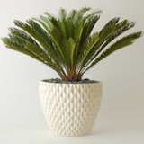 Architectural Pottery AP-100 Pineapple Planter

Designed by David Cressey | Architectural Pottery