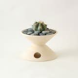A cactus sits nicely in this fired-clay vessel from La Gardo Tackett.