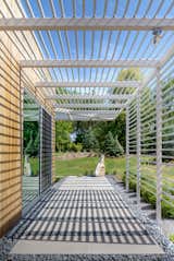 Tack Architects designed the house to frame views of the surrounding landscape. The trellis offers shading and controls the amount of daylight that shines inside (and creates a dramatic passage along the house's perimeter).