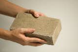 bioMASON developed a technology that uses bacteria to form a natural cement that binds aggregate into durable bricks.