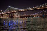 In another project, Benjamin worked with SHoP Architects, Natalie Jeremijenko, and the New York City Economic Development Corporation to install sensors on live mussels in order to track water quality in the East River in New York City.