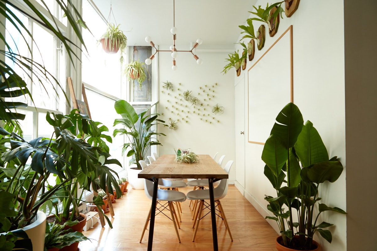 Lush, Plant-Filled Dwellings That Pay Homage To Home Horticulture - Dwell