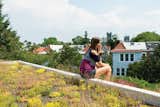 Eliza takes in the view from her perch atop the house’s green roof, which Daniel believes to be the first of its kind in the neighborhood. The family received a subsidy administered by DC Greenworks and funded by the DC Department of the Environment.