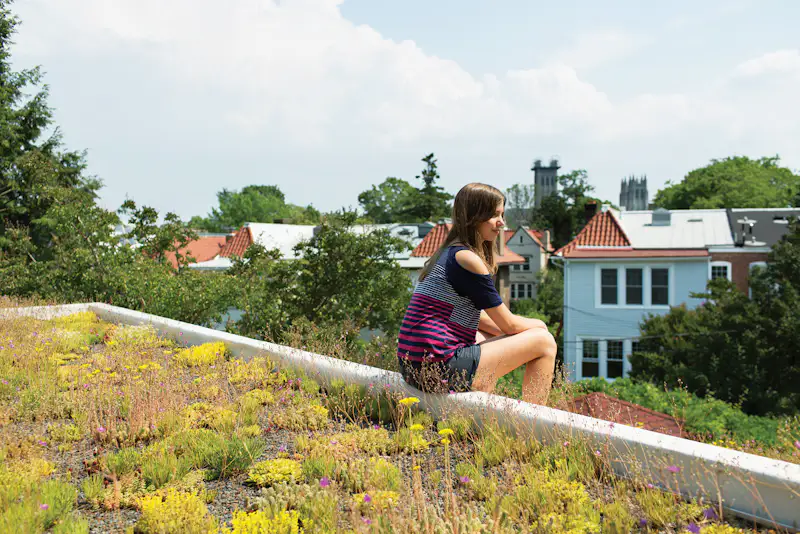 Photo 7 of 7 in 4 Easy Steps to Creating Your Own DIY Green Roof from ...