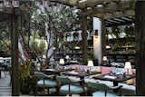 Cecconis (Miami, Florida)

Architect Martin Brudnizki chose to incorporate a little local color into the Miami outpost of the sophisticated London bistro, Cecconis. Seafoam seat cushions set amid lush greenery create a romantic interplay between indoor and out.