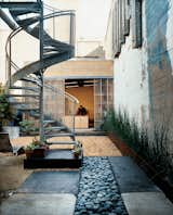 A spiral staircase descends from the glass deck to the rain garden, which replaced a concrete pad.