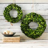 Boxwood Round Wreath from West Elm

Nothing says welcome like the warmth of a vibrate and lush green wreath.  Photo 3 of 7 in Modern Wreaths to Welcome Your Guests by Megan Hamaker