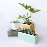 Indoor Planter:

Adding a touch of green makes a space feel vibrant and alive. Give one of these fun Window Planter Box's by Yield Design Co. to lend contemporary warmth to anyone's houseplants. A perfect home for kitchen herbs, sculptural succulents or flowering blooms.
