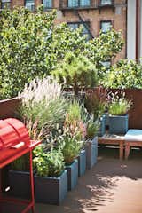 Large container plants add a flourish of greenery in a small outdoor space.