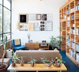 Casual Cacti