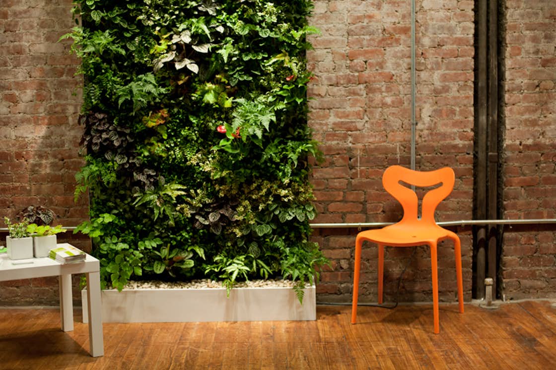 Photo 3 of 10 in Living Green Walls 101 Their Benefits and How They’re