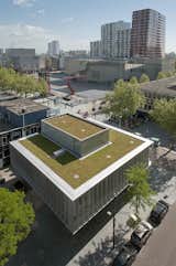 A green roof is another defining feature of the renovation. Photo by Sebastian van Damme.
