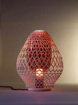 When switched on, the lamp casts a colorful glow.  Photo 5 of 8 in 3D Printed Lighting by Exnovo by Diana Budds
