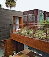 The plantings on this footbridge, which connects the guest pavilion to the master bedroom and media room pavilion in this house in Venice, California, will eventually grow in to create a privacy screen. Photo by Coral von Zumwalt.