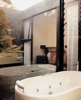 The guest bathroom  includes glass walls that look out onto one of the house’s "voids," in which pear trees grow.