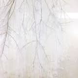 "Vertical Emptiness" by Yasuaki Onishi. An installation made using tree branches and hot glue.