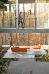 In fall, the color of this backyard in Charlottesville, Virginia, changes daily with the foliage. Elizabeth Birdsall marvels how new outdoor spaces on her property, like a patio furnished with upholstered seating from Gloster, make enjoying the woods an easy experience: “It’s like comfortable camping, all the time.”