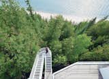 The exterior view of the Douglas House stepped walkway that extends over the surrounding trees.  Photo 6 of 12 in Modern Lakeside Homes by Erika Heet from This Lake House Is a Living Piece of Architecture History