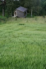 Jaanus Orgusaar's NOA cabin in the Virumaa region of Estonia. With the building's unique shape, it's easy to add another module and expand.