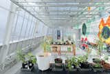 You don't need a full greenhouse to successfully grow herbs, just a dedicated spot that will get at least six hours of sun a day. In fact, your indoor herb garden can be as simple as a row of potted plants.