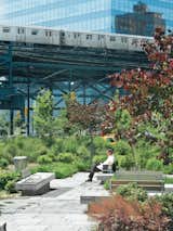 Ruddick’s design for Queens Plaza in New York helped transform a neglected space into an easily navigable gathering spot. The concrete bases beneath the benches appear to “pop up” from the ground, Ruddick says. “It required a lot of design to make everything integrate.”  Photo 3 of 5 in Modern Landscape Designer Breaks New Ground