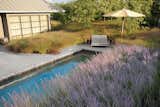 Midwest: Hoerr Schaudt

Ample amounts of Russian sage add visual interest, and manicured bluegrass offers recreation space. “I always like to say, strike half of your original plant list out and double up on the rest. It keeps you from getting too busy.”  Photo 4 of 7 in Inspiring Water-Wise Landscapes by Brandi Andres from Landscape Design for All Climates