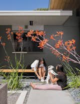 Their daughters, Annapurna, left, and Siddartha, play with their dog, Anouck, beneath the kangaroo paws in the entry garden courtyard.