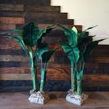 Canvas Banana Tree

A new summer addition (and perhaps another example of there always being money in the banana stand),  these eccentric, three-foot-tall pieces are great accents, and as Ponce de Leon says, “you don’t have to kill anything.”  Search “boisbuchet-as-a-canvas.html” from Shops We Love: A&G Merch