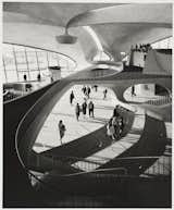 TWA Terminal, interior, designed by Eero Saarinen, 1962. Gelatin silver print. Carnegie Museum of Art, Purchase: gift of the Drue Heinz Trust. Image courtesy of Carnegie Museum of Art, copyright Ezra Stoller/Esto, Yossi Milo Gallery.  Photo 6 of 6 in Architecture by Giulia Catania from Modernism Through the Viewfinder: The Photography of Ezra Stoller