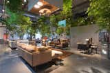 Sou Fujimoto's Floating Forest via Spoon & Tamago: Architect Sou Fujimoto transformed Cassina's showroom during Salone Internazionale del Mobile into a floating forest.