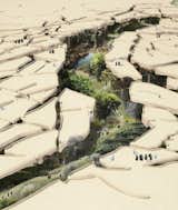 A Desert Blooms: A Middle Eastern Park Plan Breaks the Mold - Photo 1 of 3 - 