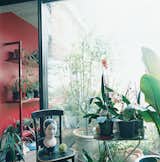 The sun room features an exotic assemblage of tropical plants and ojbets de arte.