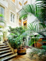 Outdoor, Front Yard, Gardens, Raised Planters, Trees, Small Patio, Porch, Deck, and Stone Patio, Porch, Deck Once through the street-level entrance, the property's modern garage door comes into view. Stairs lead up to the kitchen.  Photos from The Barcelona Home Like No Other