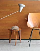 Wooten handpicked every piece in the house, such as the 1955 Medea chair by Vittorio Nobili, near which he placed an abandoned bird’s nest he found on the property.