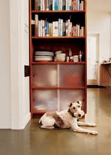 Sparky the wirehaired fox terrier takes a load off in front of one of the cherry-ply cabinets with sanded acrylic doors that Azevedo built for the kitchen.