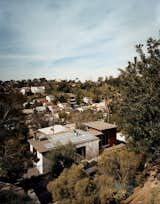 Garcetti cleans up the rooftop array of solar panels. In the foreground, hidden beneath trees and greenery, is the couple's garden.  Photo 5 of 15 in Eric Garcetti's Green Home Remodel