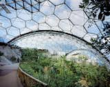 The interior of the Eden Project. Photo by Peter Cook/VIEW.