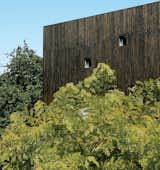 The house's stained-cedar cladding makes a stark but pleasing contrast to the natural foliage of the site.