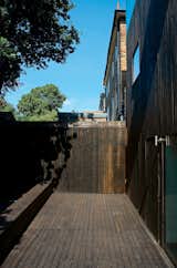 Even the rear facade is seamless—its door all but disappearing into the cedar cladding.