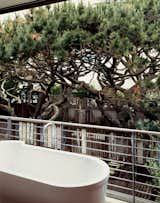Bathrooms are places for physical and spiritual cleansing. A green view amplifies the feeling of rest and relaxation in this surfer’s house in San Francisco; the sliding glass panels in the bathroom open to put the tub in the tree canopy.