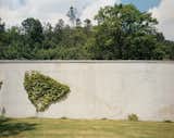 Despite being meticulously maintained, bits of unruly vegetation find their way onto the house’s pristine concrete walls.