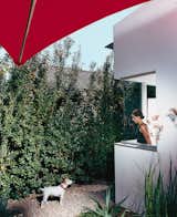 Dawn Farmer looks out from her office at Darby, one of the couple’s two dogs, in the front yard. The house is clad in smooth stucco top-coated with white Venetian plaster, and has a perimeter wall made of Cor-Ten steel panels and stuccoed cinder blocks.