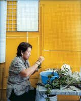 A woman strings kukui nuts and mock orange leaves at Jenny’s Lei Shop in Chinatown.  Photo 13 of 16 in Honolulu, Hawaii